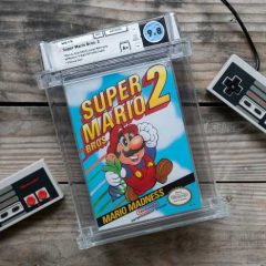 Super Mario Bros 2 Auction